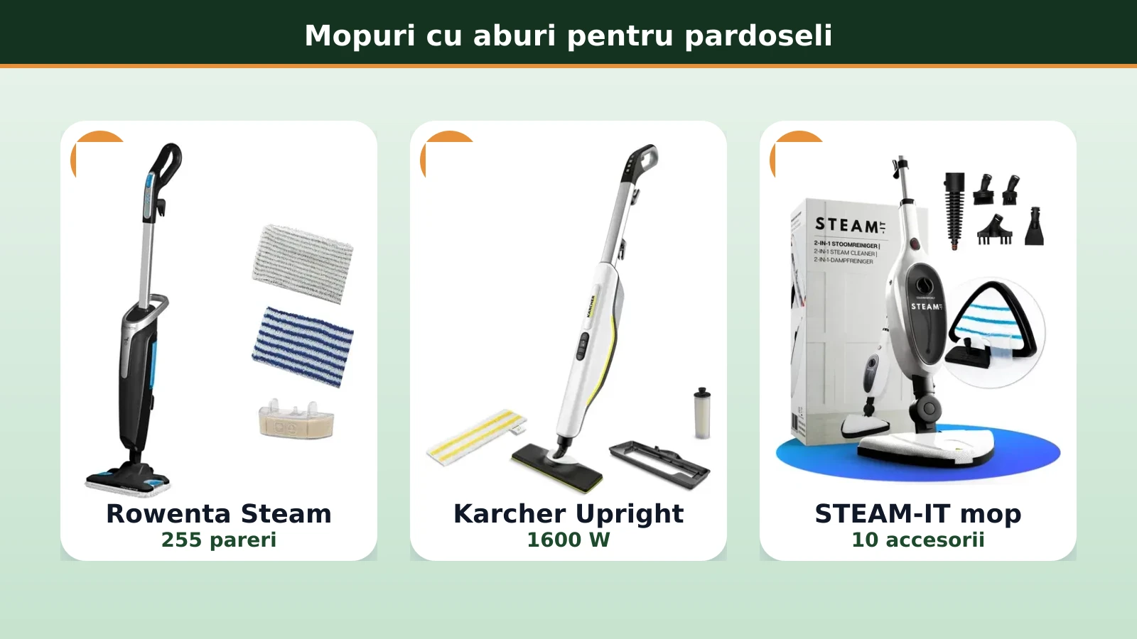 Mopuri cu aburi pentru pardoseli: Rowenta, Karcher, STEAM-IT